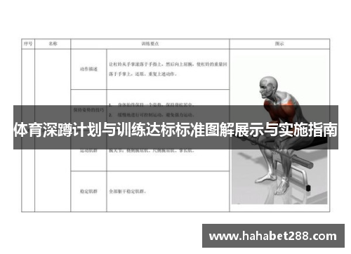 体育深蹲计划与训练达标标准图解展示与实施指南